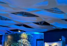 “Tiburones” transforma el Museo Laberinto en una aventura submarina