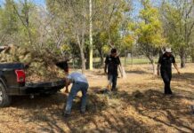 Por finalizar , rehabilitación en la unidad deportiva «21 de marzo» rumbo a la Copa Soledad 2026