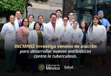 INCMNSZ investiga veneno de alacrán para desarrollar nuevos antibióticos contra la tuberculosis