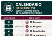 Amplían plazos para vincular líneas telefónicas ante el alto número sin registrar